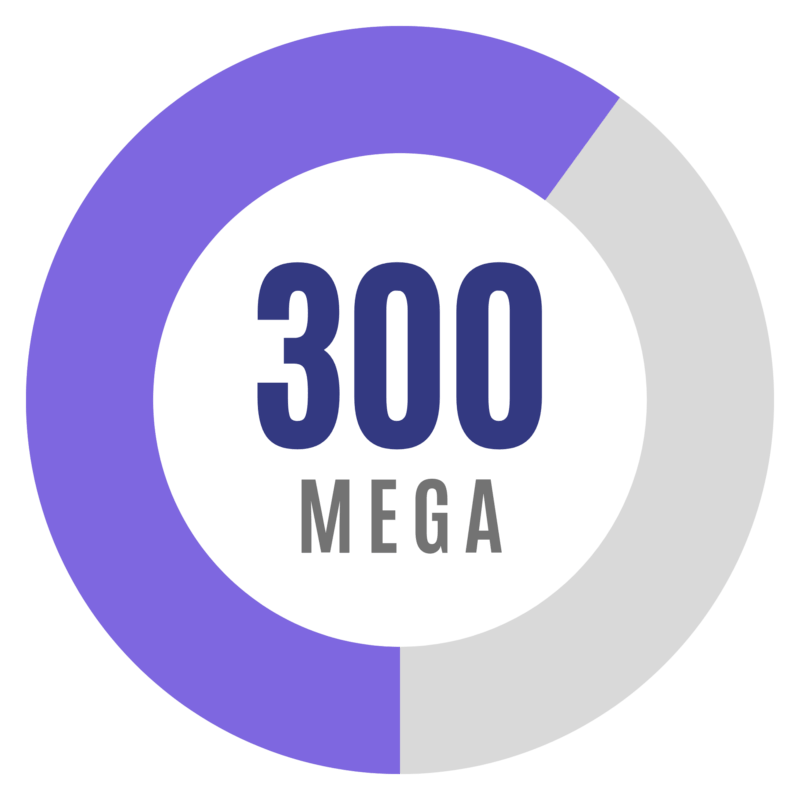 Pme Fibra 300MB Grupo IP2